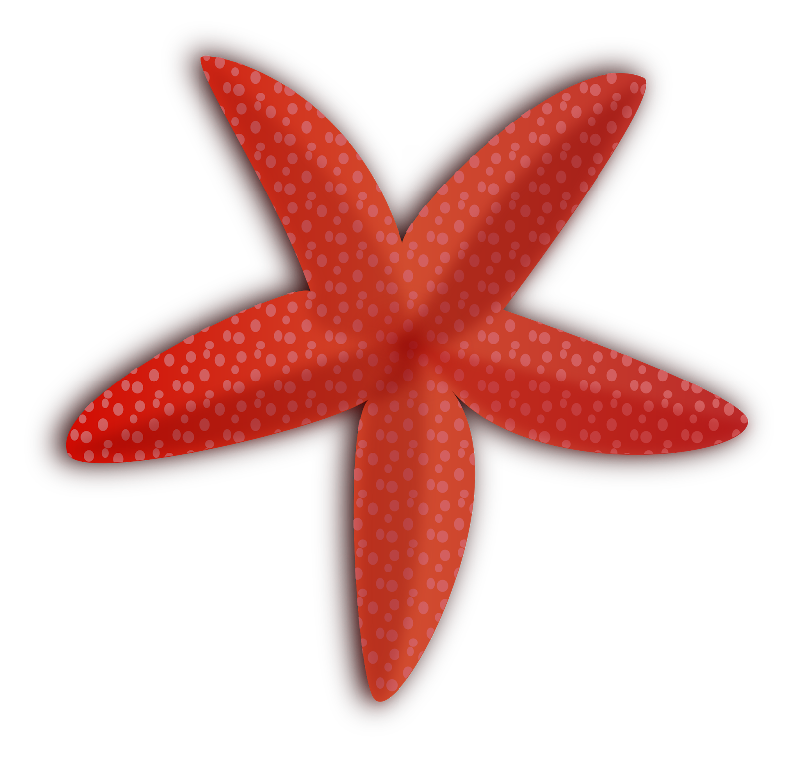 starfish clipart square object