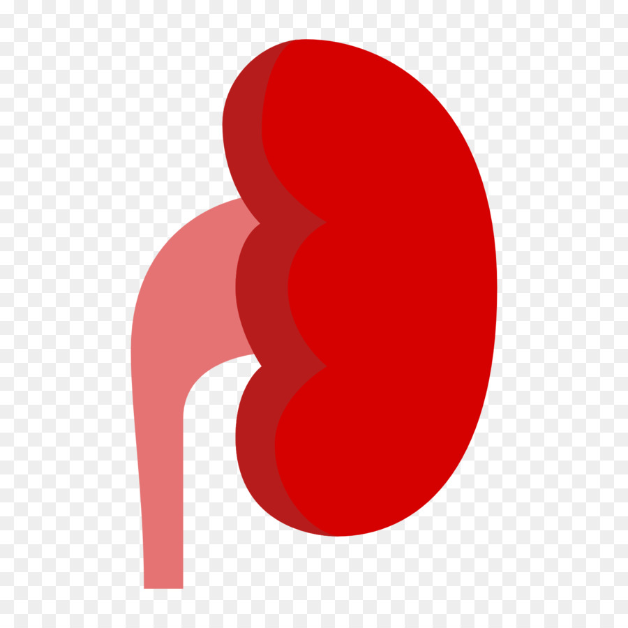 Kidney clipart. Chronic disease computer icons