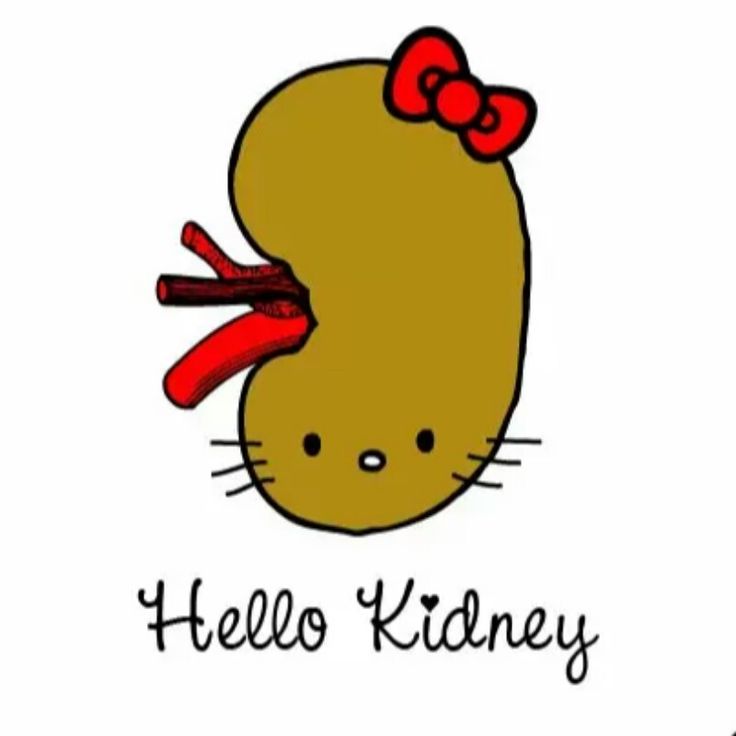 At getdrawings com free. Kidney clipart