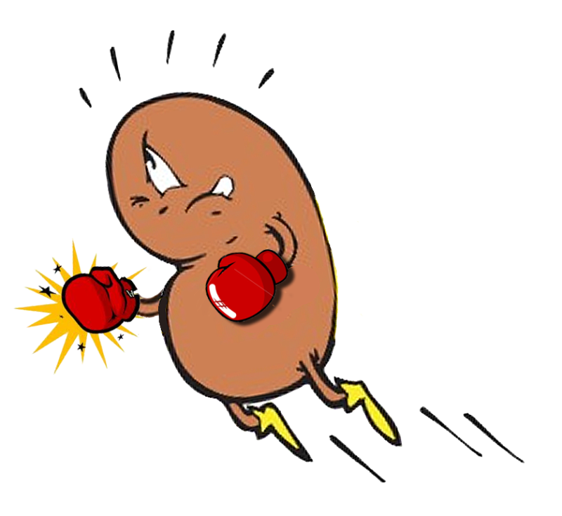 kidney clipart cartoon