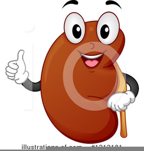 kidney clipart cartoon