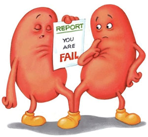 kidney clipart causes