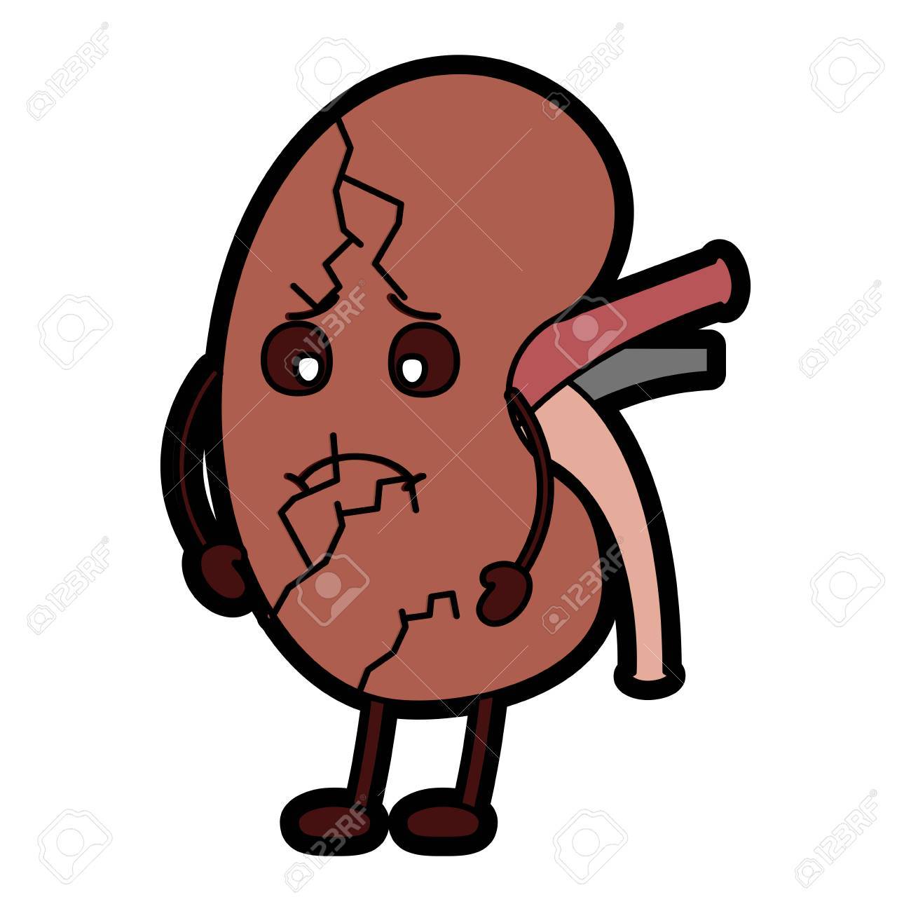 kidney clipart character