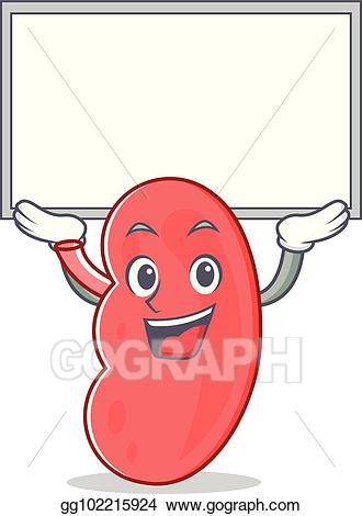 kidney clipart character