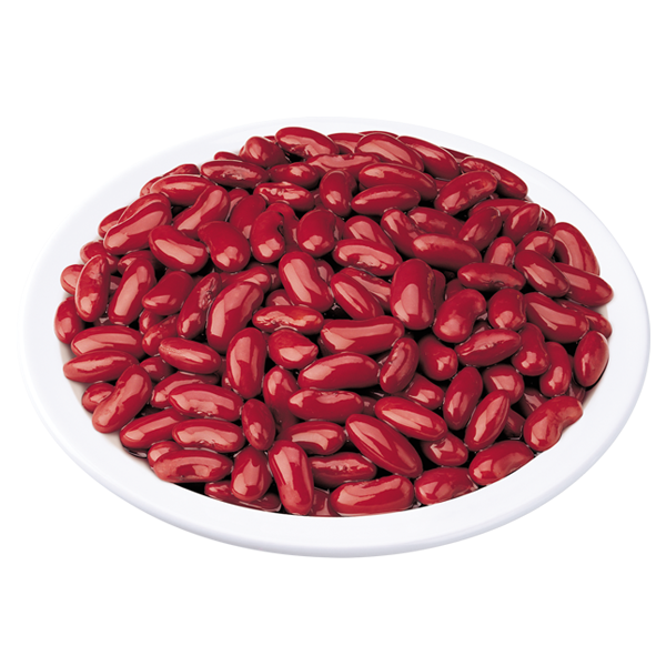 kidney clipart dry bean