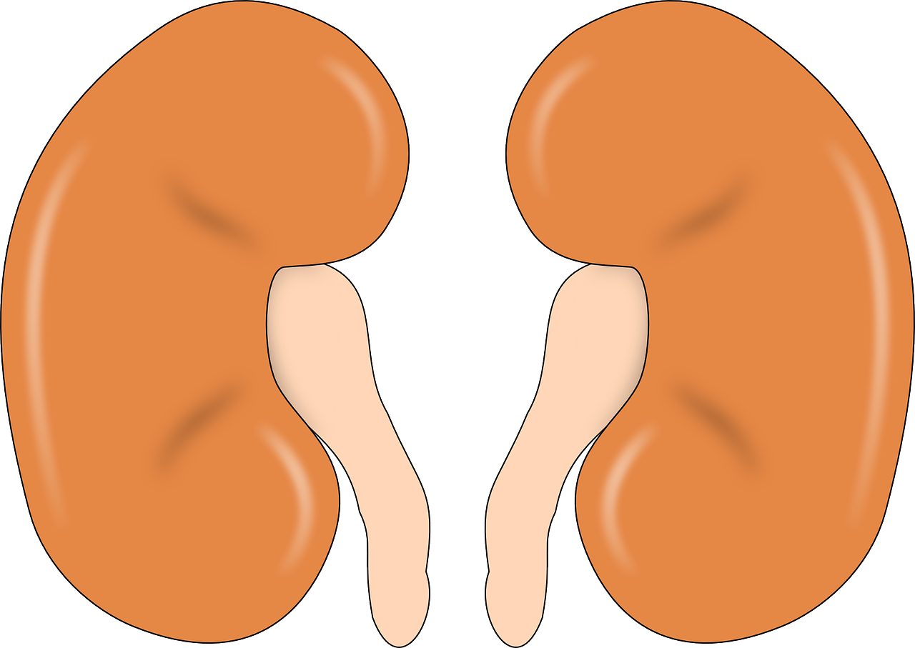 pain clipart kidney pain