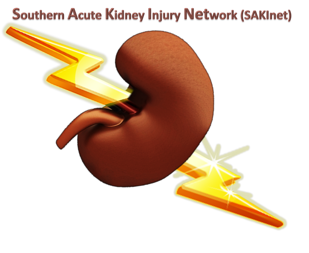 Kidney clipart kidney function. Related links 