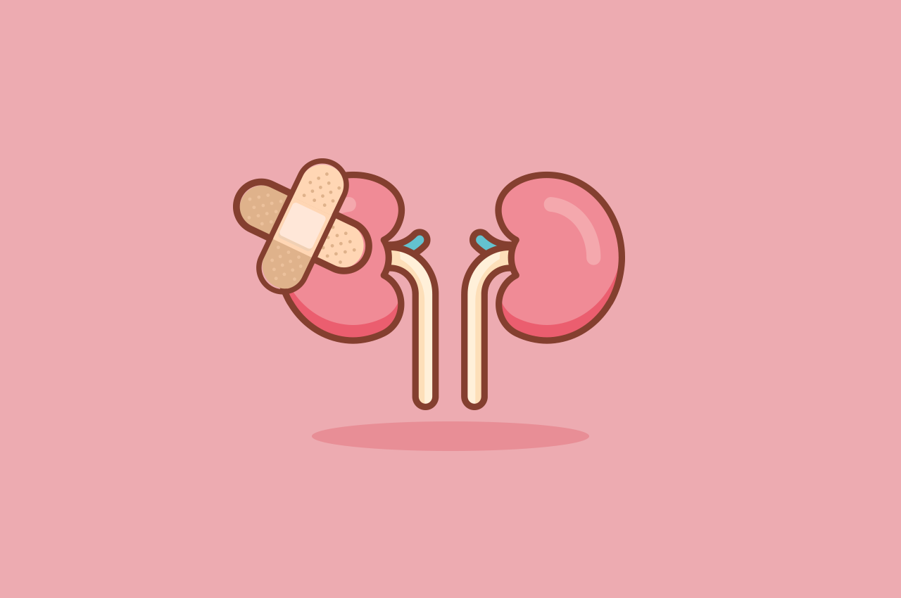 Kidney clipart kidney pain. The hello doctor medical