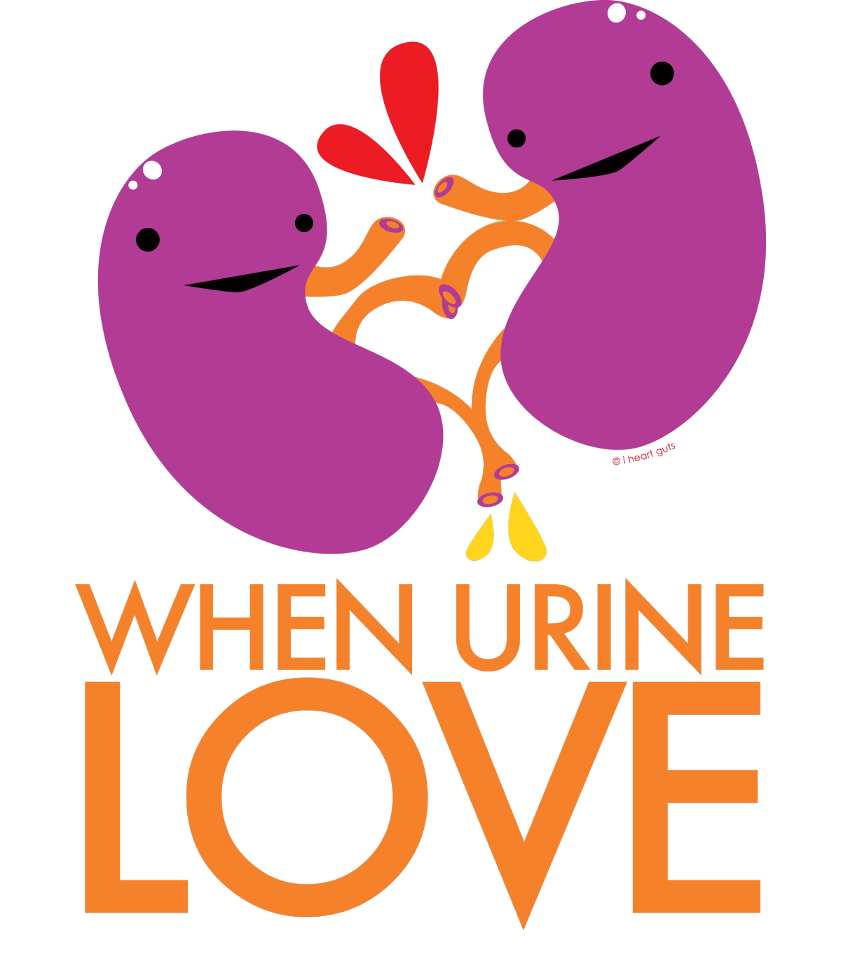 kidney clipart love