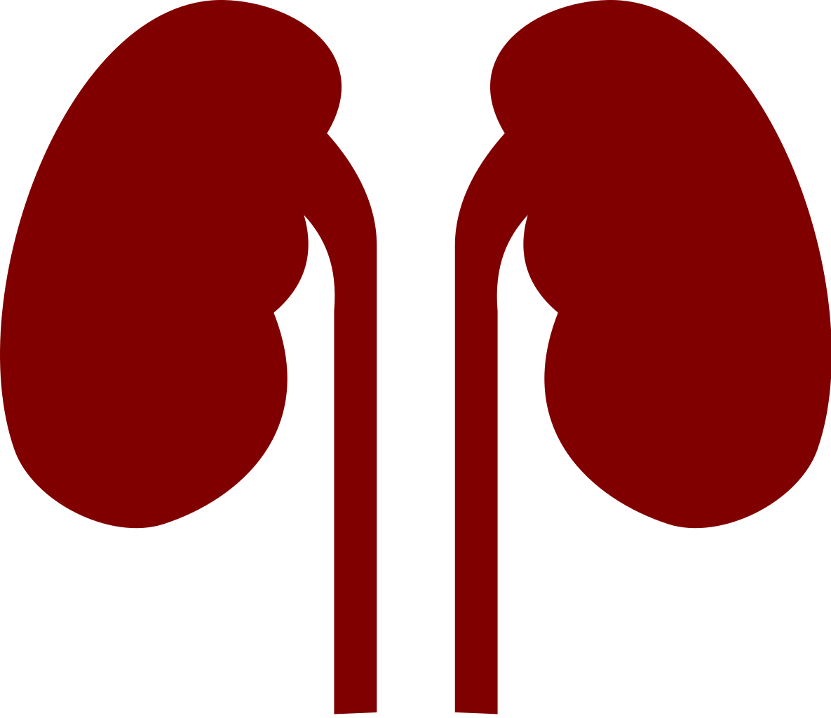 Kidney marathi