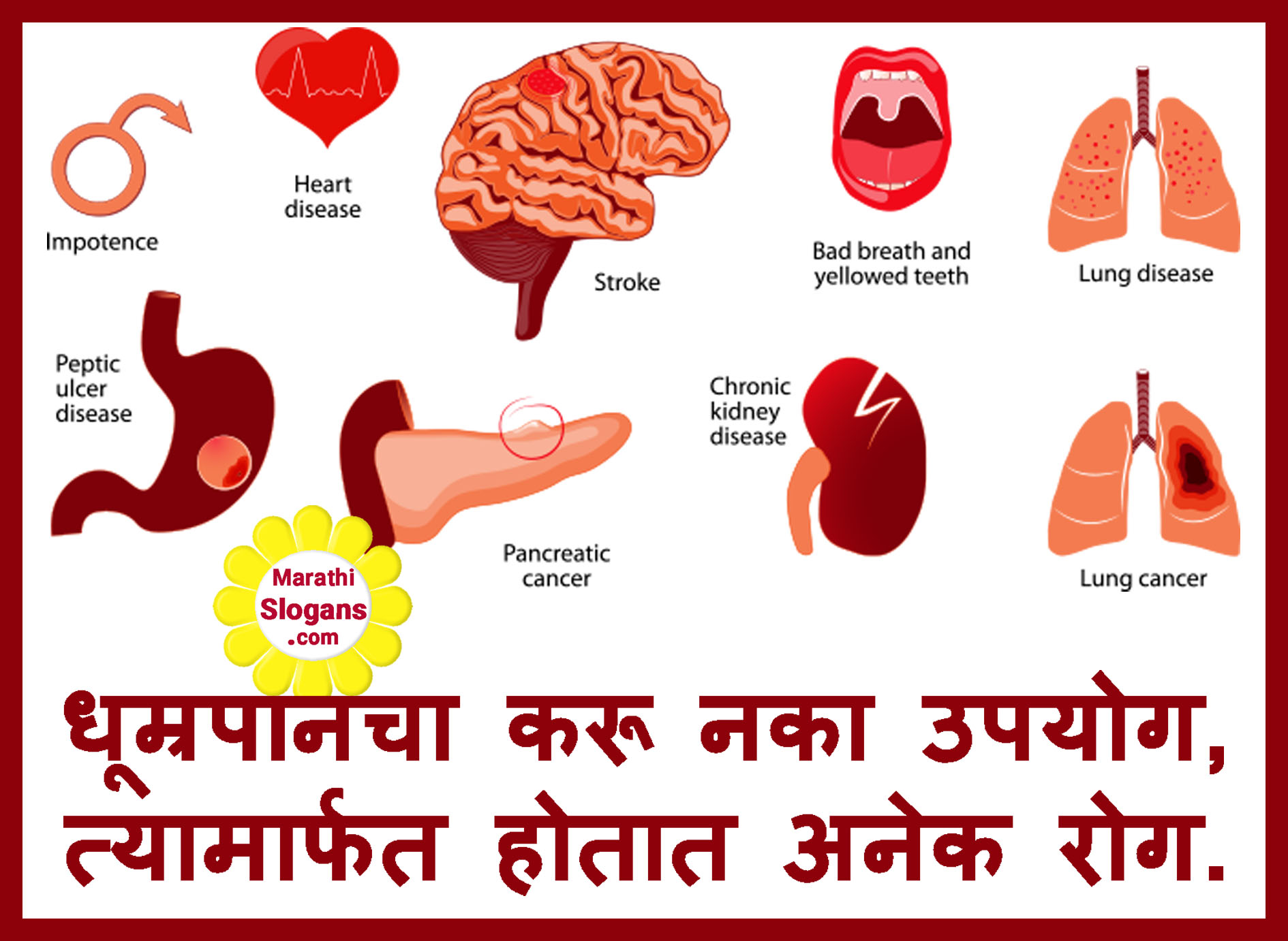 kidney clipart marathi