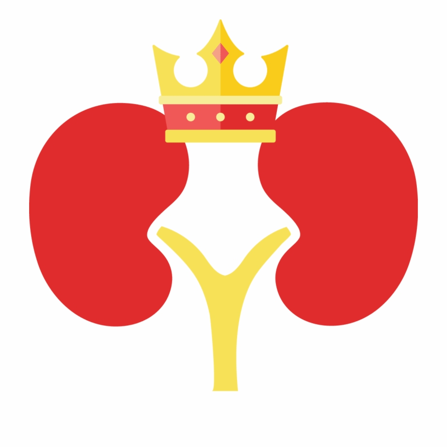 Kidney clipart nephrologist. Svg free library king