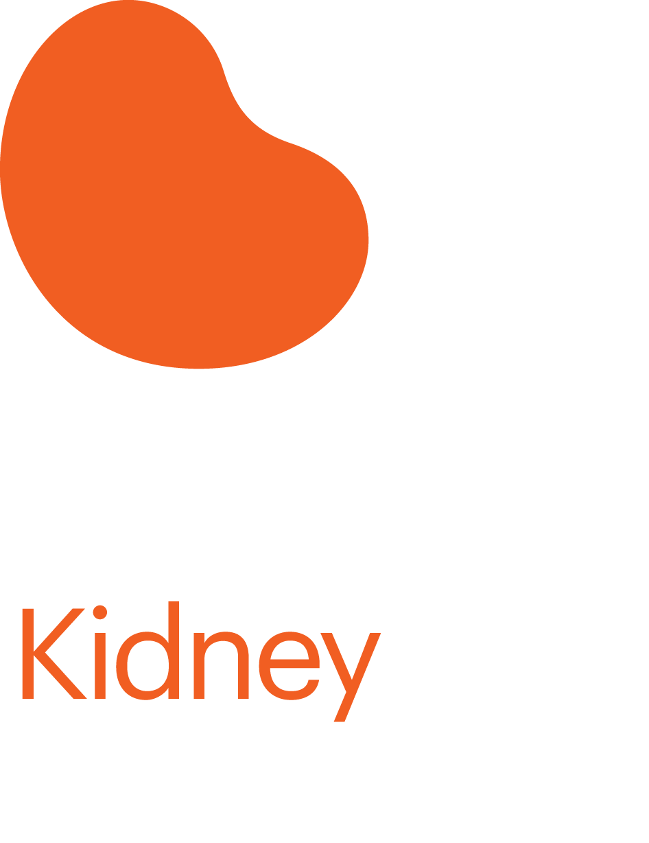 Dates to know nkf. Kidney clipart pair