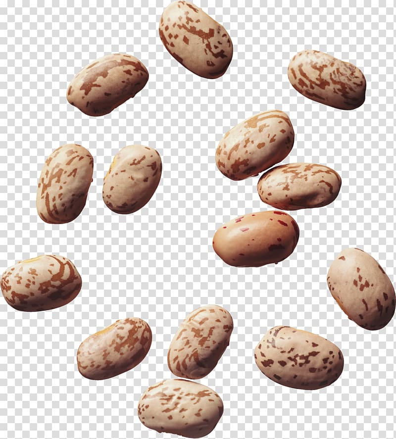 Beans transparent background png. Kidney clipart pinto bean