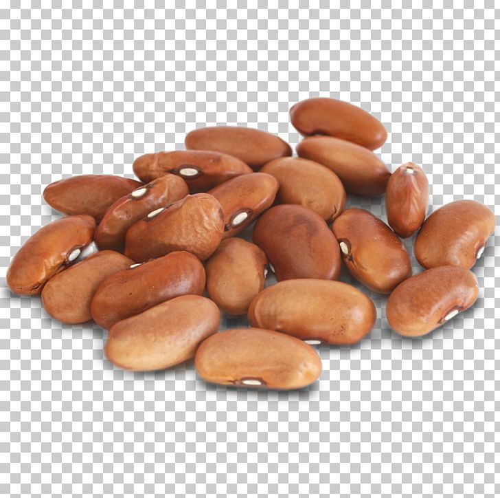 Rice and beans red. Kidney clipart pinto bean