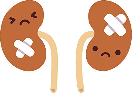 kidney clipart sad
