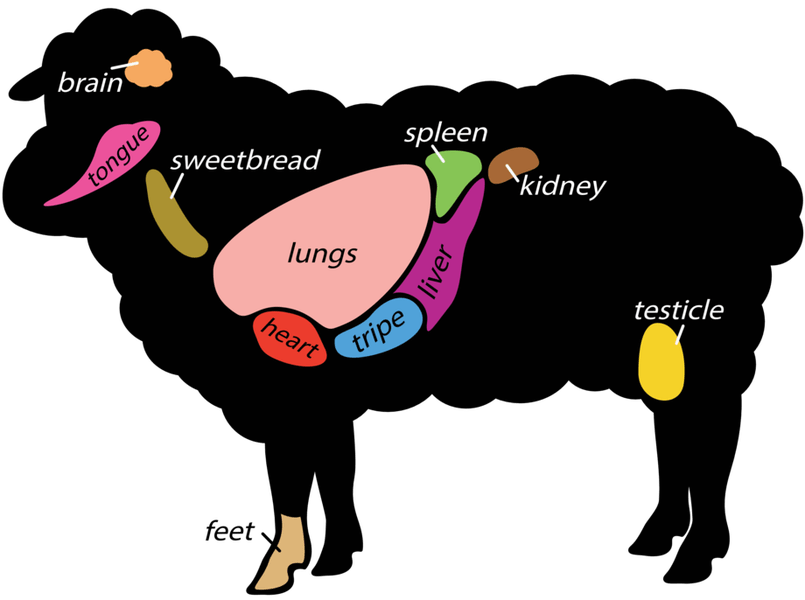 Map of beef cuts. Kidney clipart spleen
