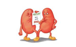 Sad clipart kidney. Free disease cliparts download