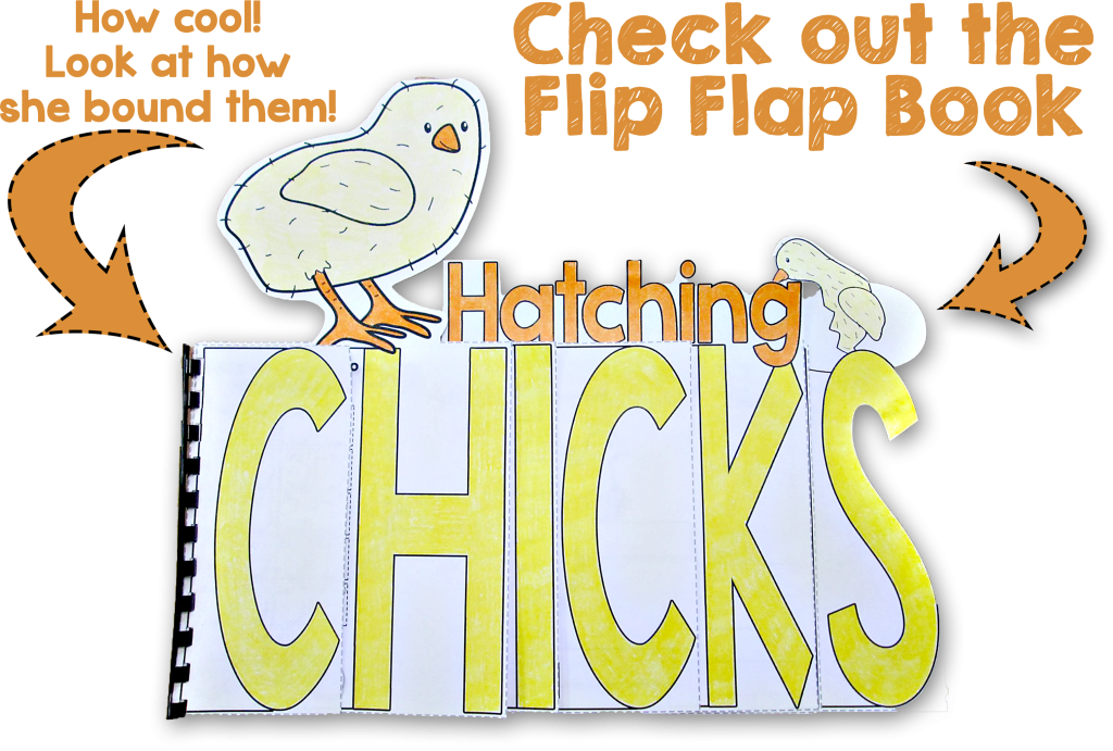 Hatching chicks peep explore. Morning clipart morning activity
