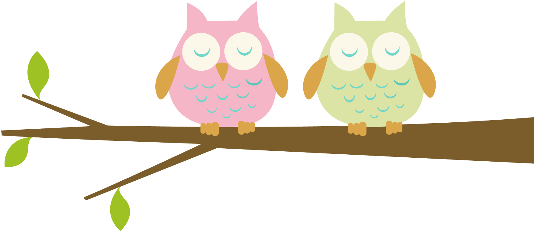 kindergarten clipart owl