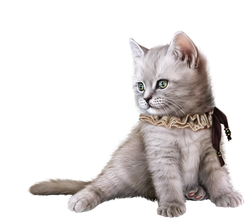 kittens clipart realistic