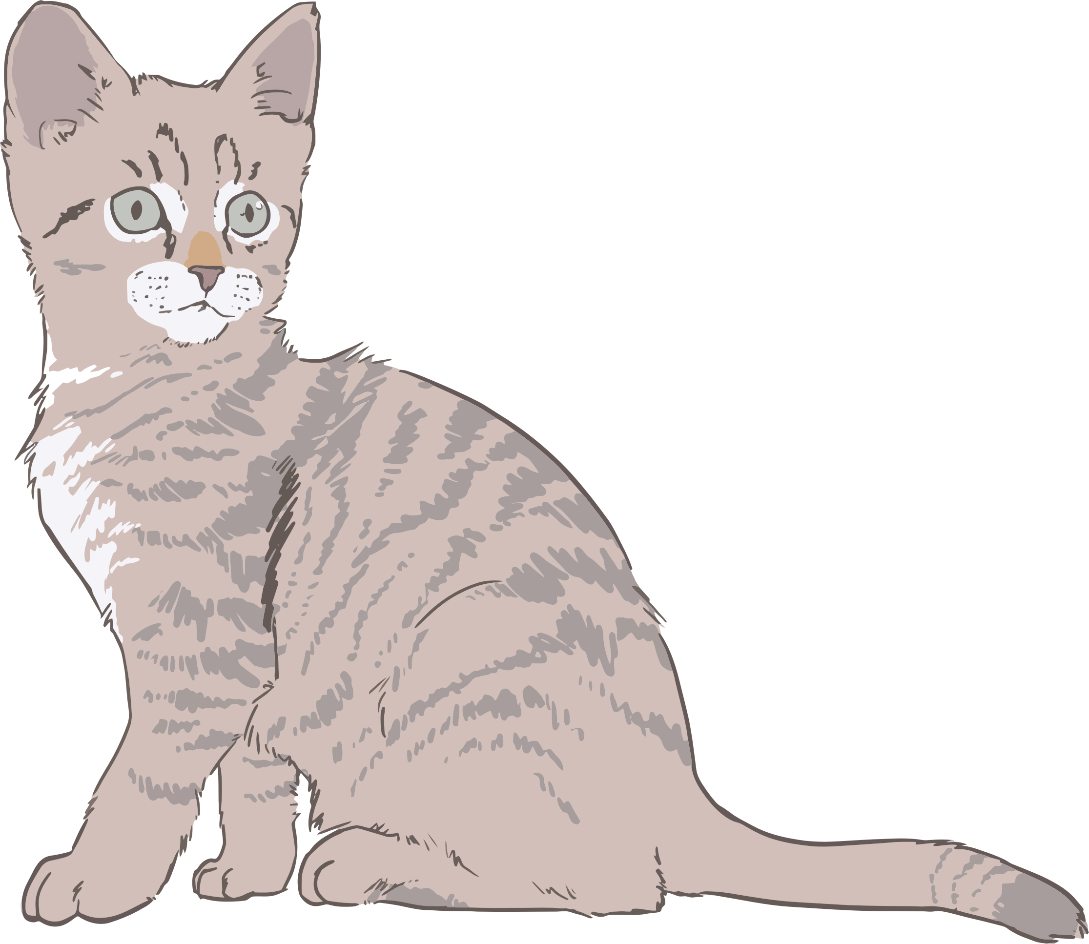 Kittens clipart line art. Kitten colored big image