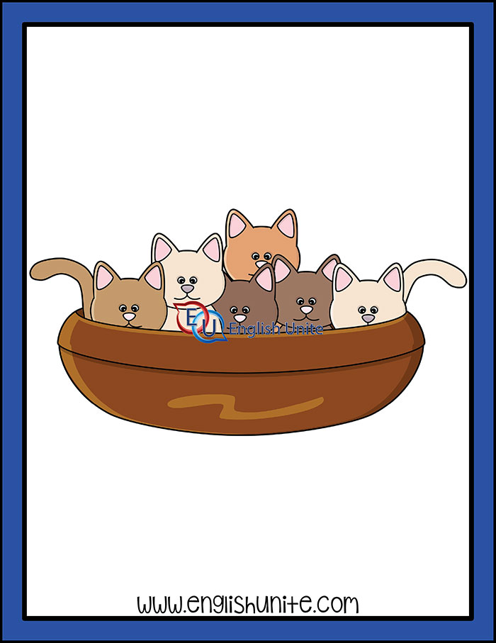 Collective noun kittens . Kitten clipart litter kitten