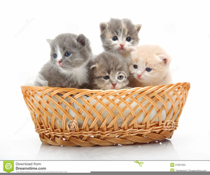 kittens clipart basket clipart