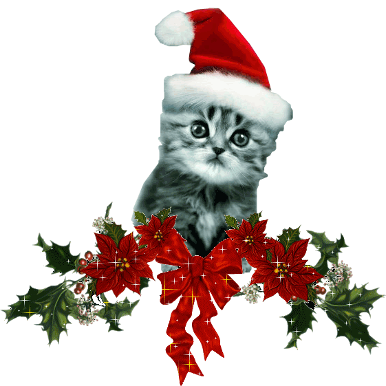 kittens clipart christmas