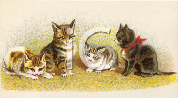 kittens clipart four