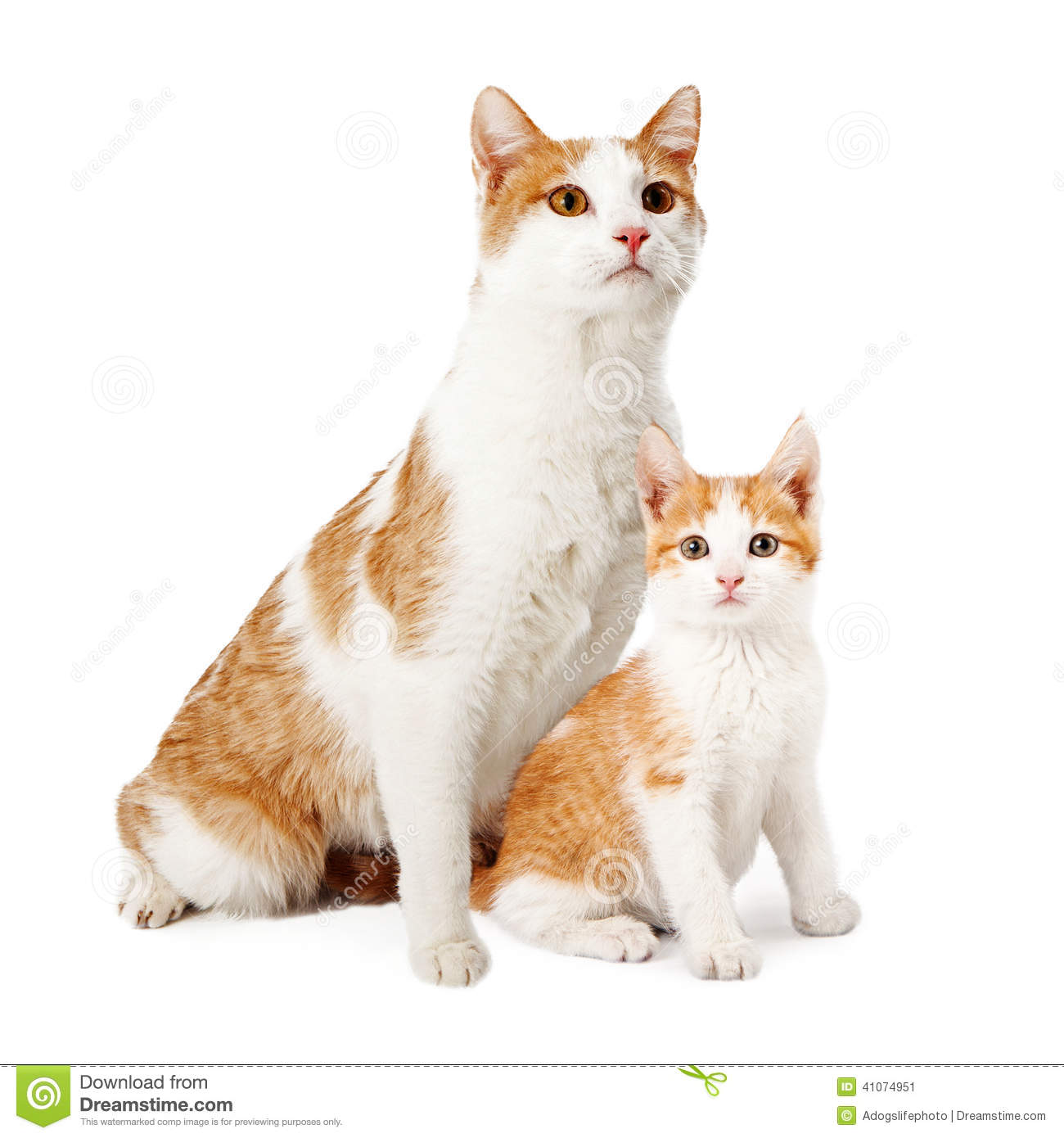 kittens clipart mother cat