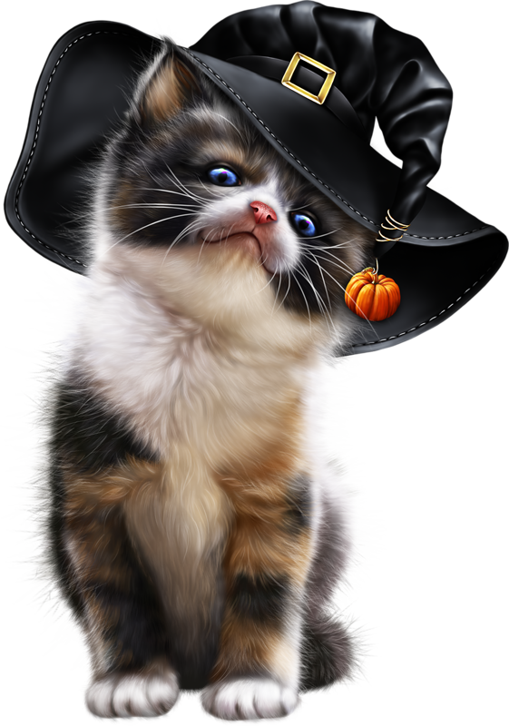 kittens clipart real