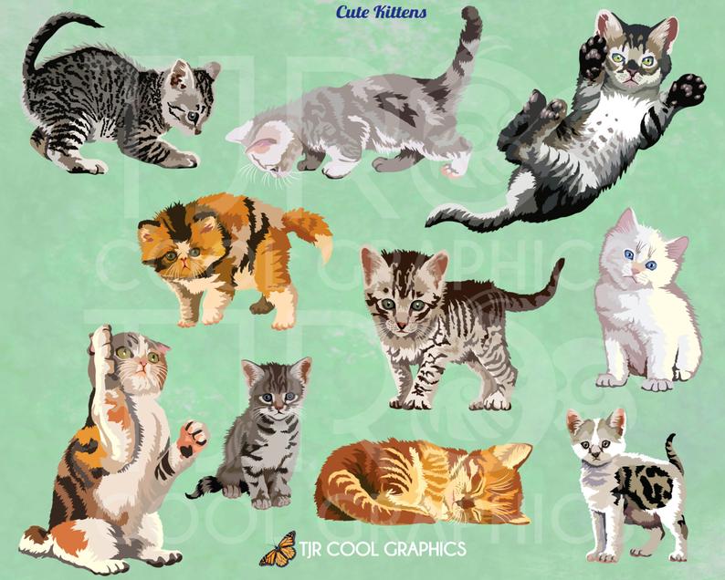 kittens clipart realistic
