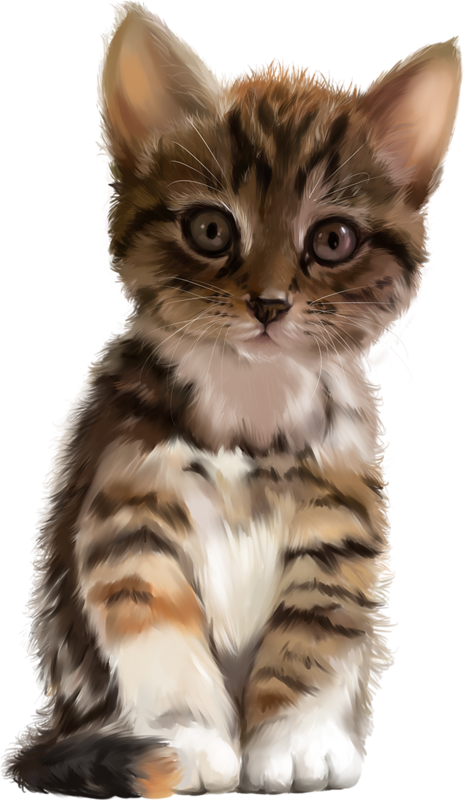 Pin by on cat. Kittens clipart tabby kitten