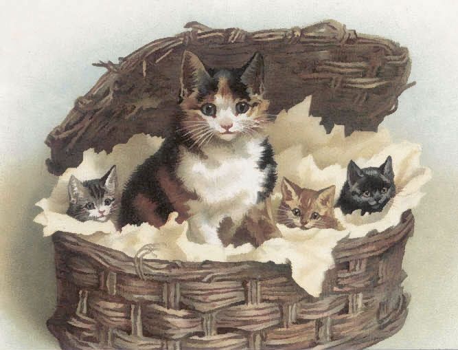 Vintage puppies and clip. Kittens clipart tabby kitten