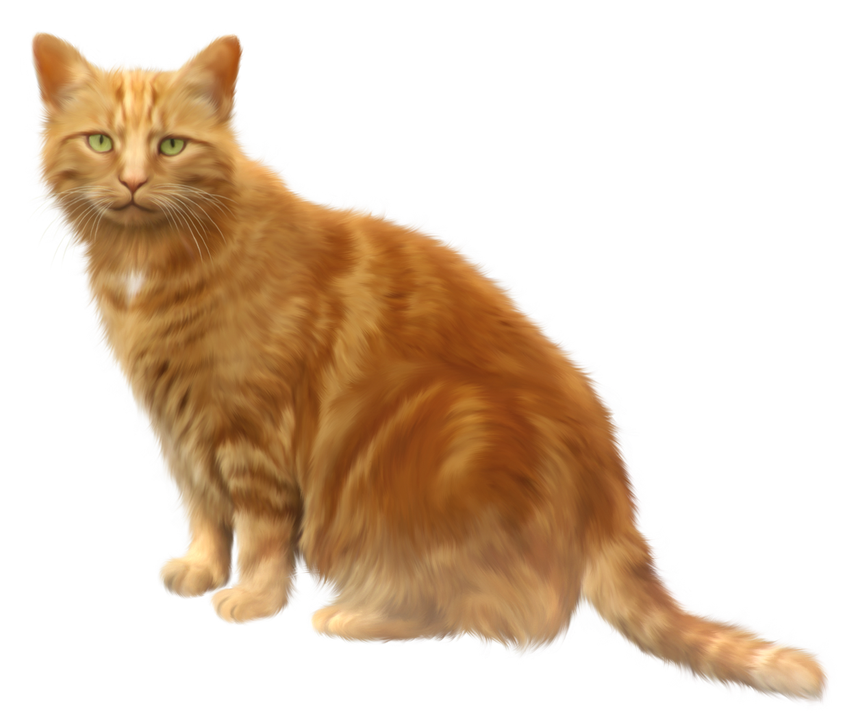 Orange cat transparent png. Kittens clipart tabby kitten