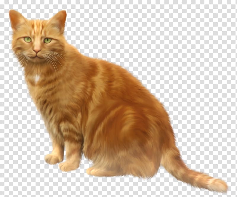 kitty clipart ginger cat