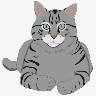 Kitty clipart grey cat. Circle png vector psd