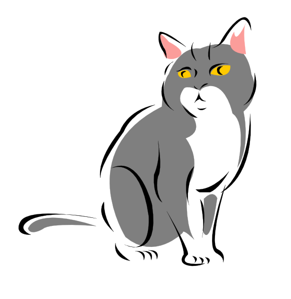Kitty grey cat