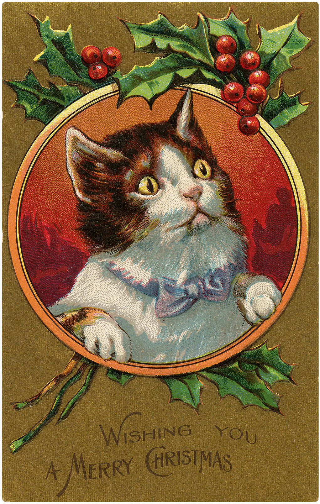 Kitty clipart three cat.  christmas images free