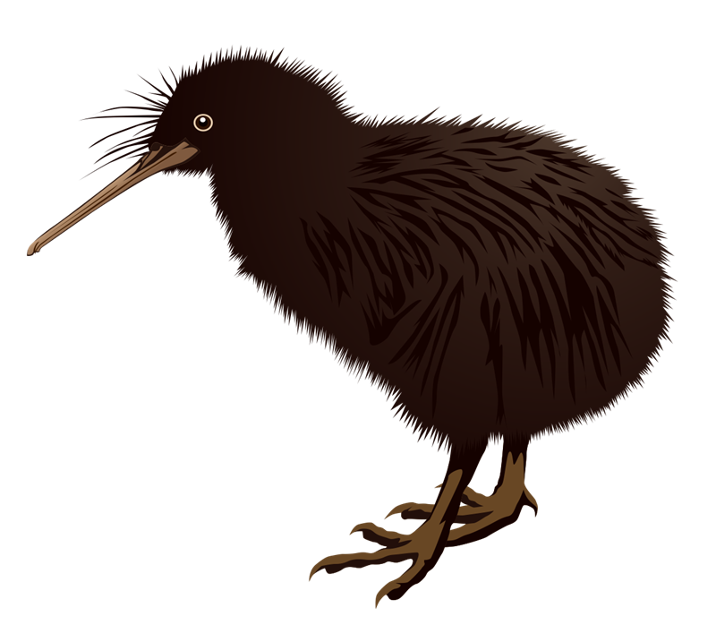 Kiwi clipart animal sea nz. New zealand biodiversity