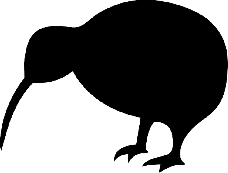 Kiwi bird nz