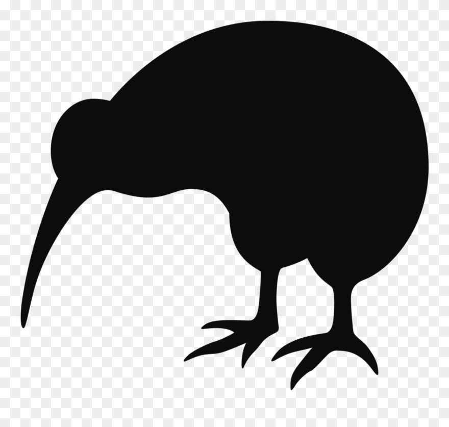 kiwi clipart bird nz