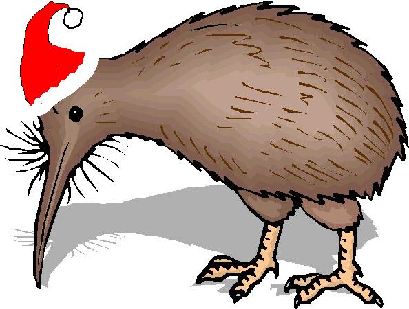 kiwi clipart christmas