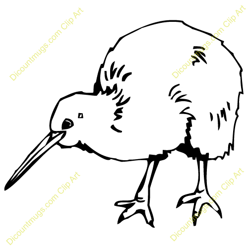 kiwi clipart drawn