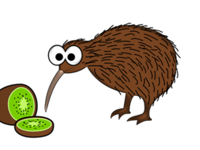 kiwi clipart endemic