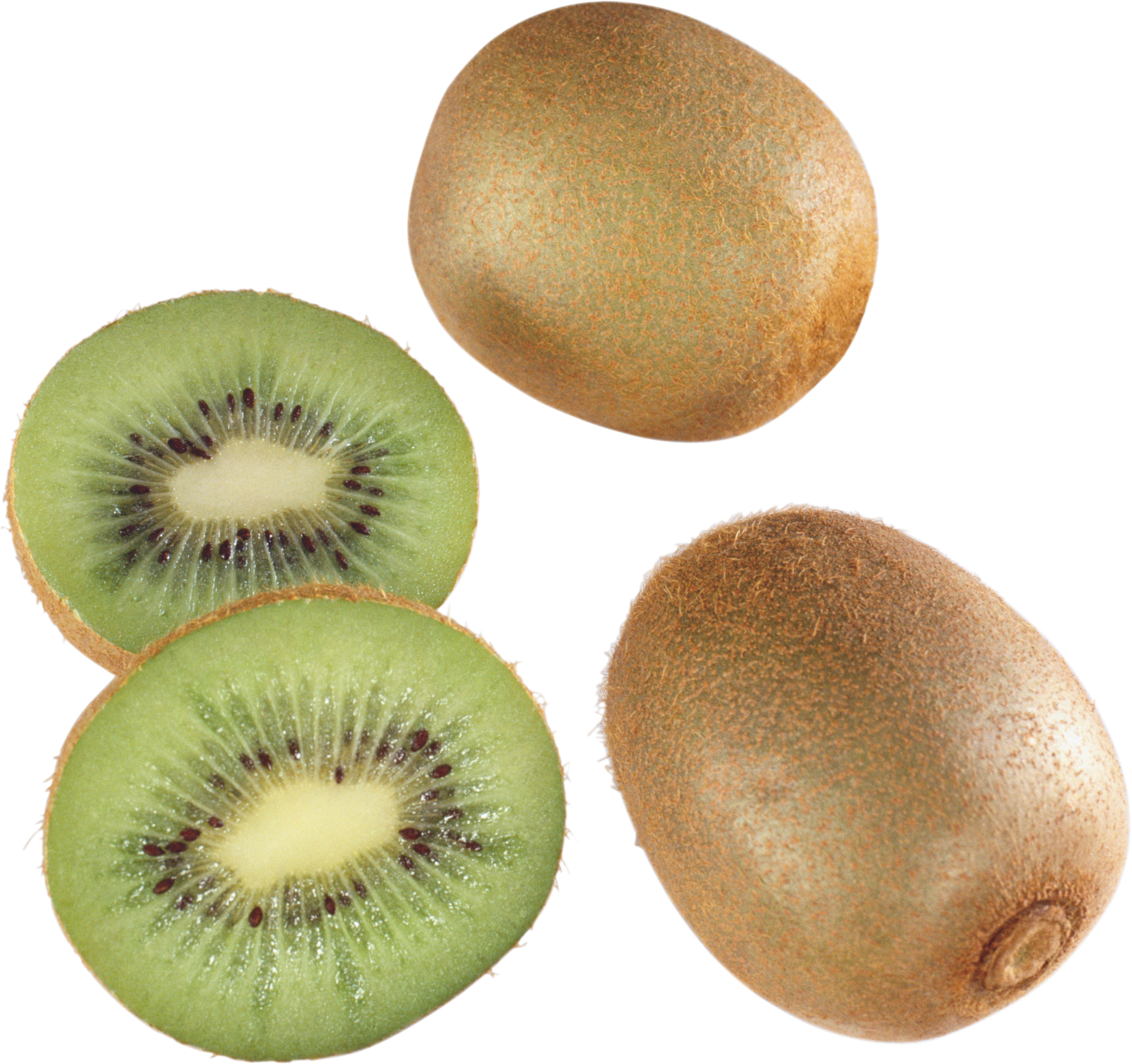 potato clipart kiwi