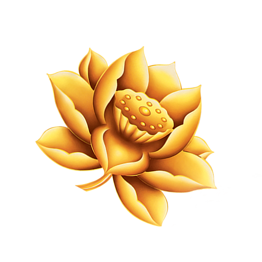 lotus clipart simple