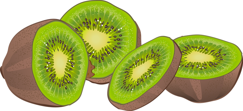 kiwi clipart green fruit