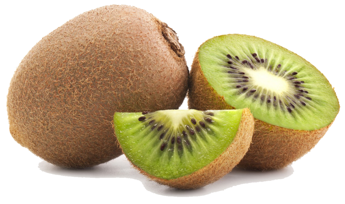 kiwi clipart kind fruit